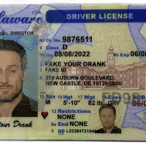 New Delaware FAKE ID