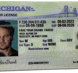 Michigan FAKE ID