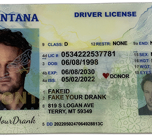 New Montana FAKE ID