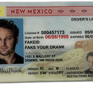 New Mexico FAKE ID