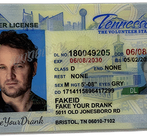 Tennessee FAKE ID
